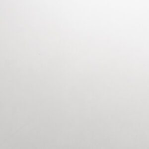 Shaw - Manhattan 12 x 24 Polished - White