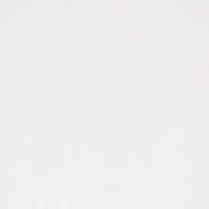 Shaw - Manhattan 12 x 24 Polished - Warm White