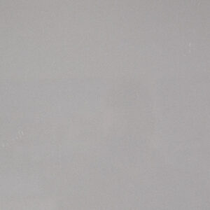 Shaw - Manhattan 12 x 24 Polished - Mica