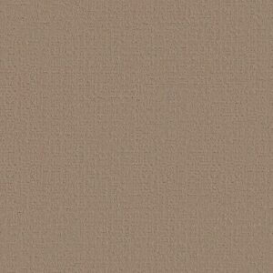 BLUEWATER HIDEAWAY - SHAW CARPET