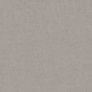 CANYON SPRINGS - SHAW CARPET