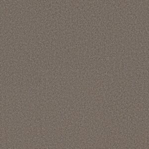 CANYON TRAILS - SHAW CARPET