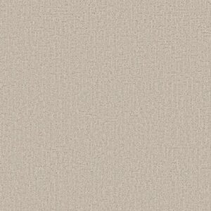 HARMONY ART - SHAW CARPET