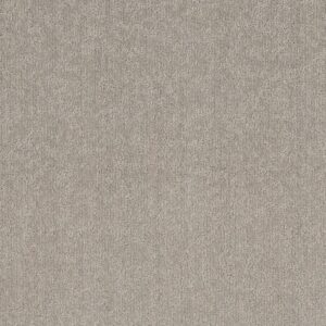 HARMONY BLEND - SHAW CARPET